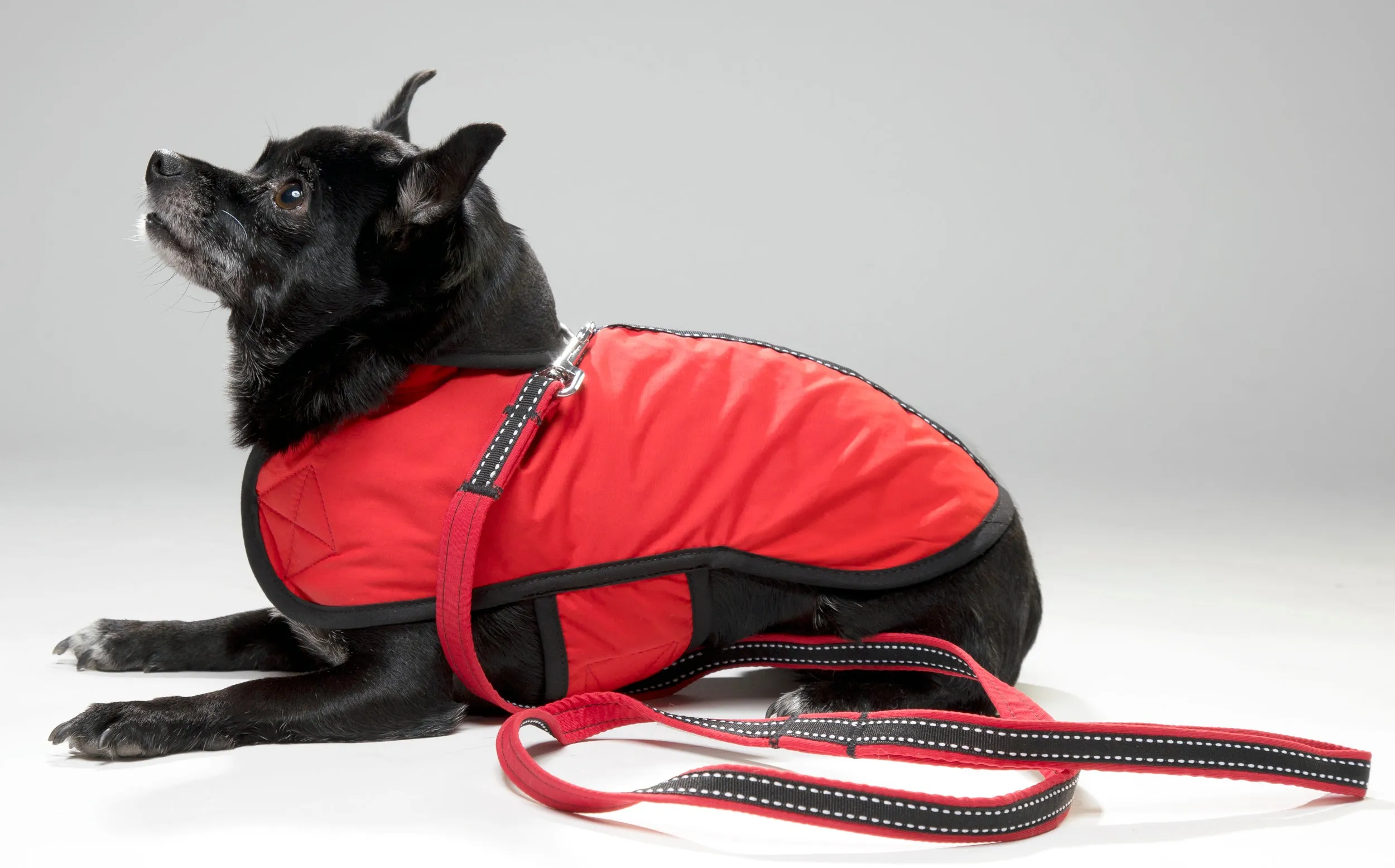 Nylon Teacup Warm Tiny Dog Winter Coat | 3 LBS to 8 LBS