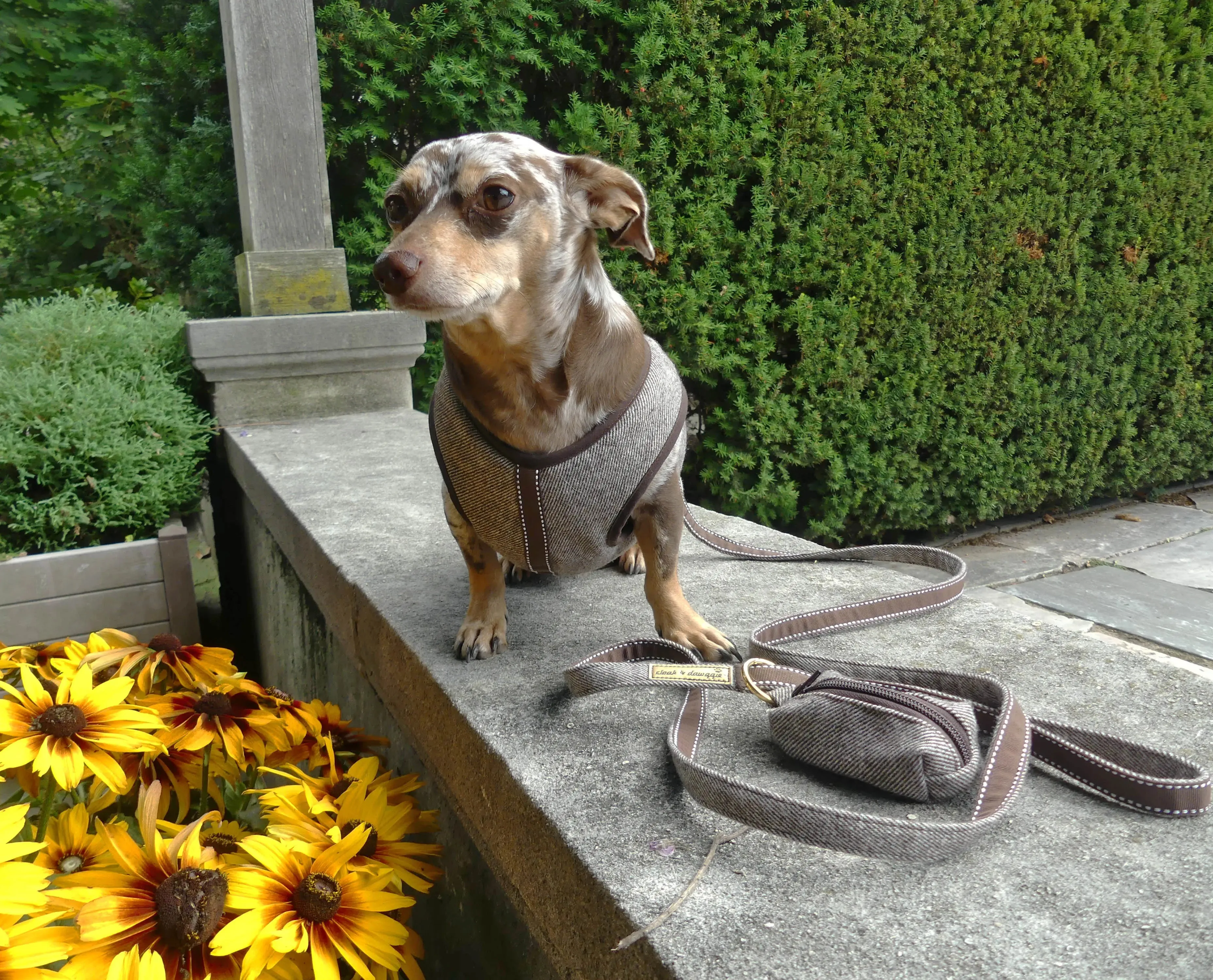 Twill Flannel Wrap Step N Go - Step In Dog Harness Warm No Buckle 6-25 LBS