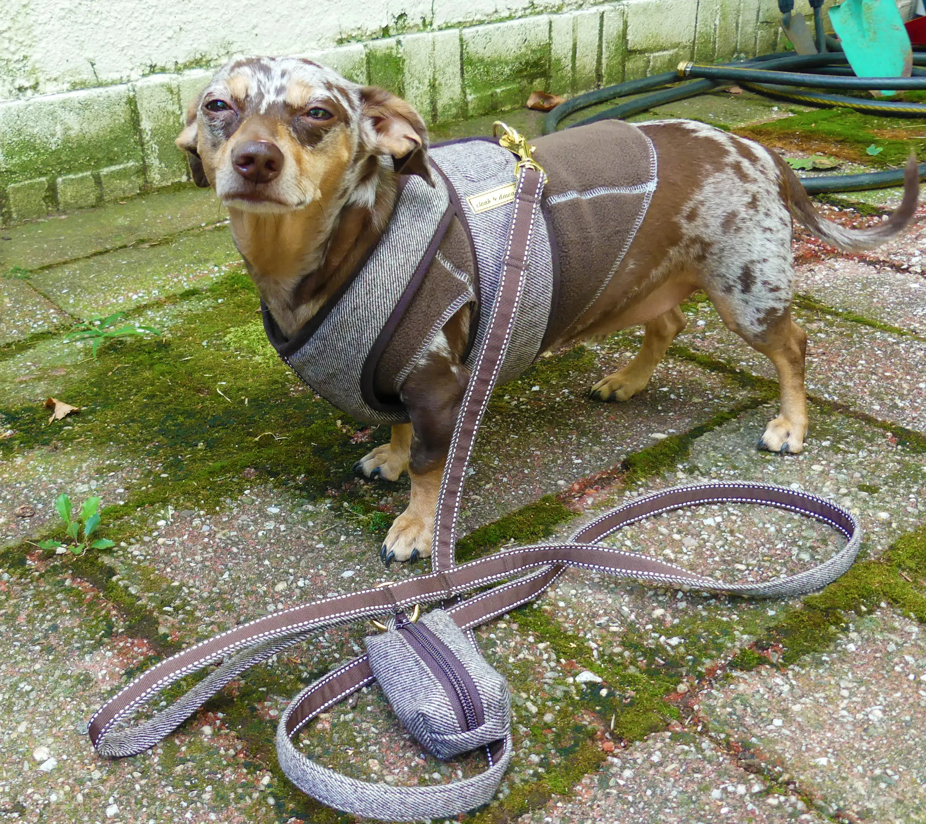Twill Flannel Wrap Step N Go - Step In Dog Harness Warm No Buckle 6-25 LBS